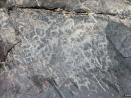 петроглифы на Кучерле